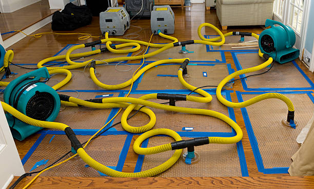 Professional Sewage Cleanup technician working in Quincy, FL